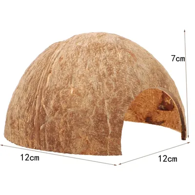 PetTribes Abri Naturel en Noix de Coco pour Reptiles et Crabes - Terrarium