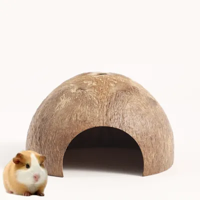 PetTribes Abri Naturel en Noix de Coco pour Reptiles et Crabes - Terrarium