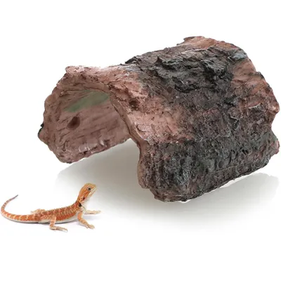 PetTribes Refuge pour petits lézards PetTribes Refuge pour petits lézards