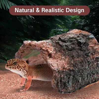 PetTribes Refuge pour petits lézards