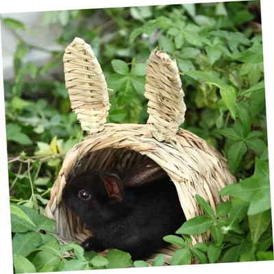 PetTribes Nid Tressé Lapin - Chaud Hiver & Frais Été