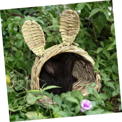 PetTribes Nid Tressé Lapin - Chaud Hiver & Frais Été