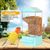 PetTribes Dispensador automático para loros