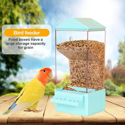 PetTribes Dispensador automático para loros