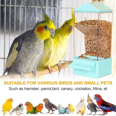 PetTribes Dispensador automático para loros