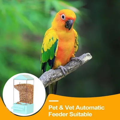 PetTribes Dispensador automático para loros