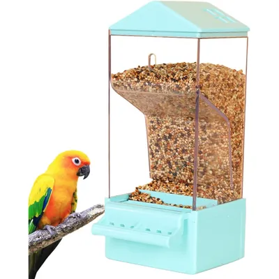 PetTribes Dispensador automático para loros