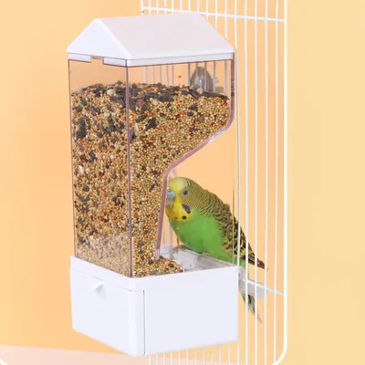 PetTribes Dispensador automático para loros