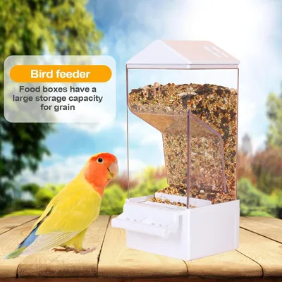 PetTribes Dispensador automático para loros