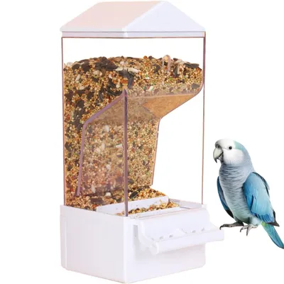 PetTribes Dispensador automático para loros