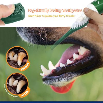 PetTribes Kit Hygiène Dentaire Chien/Chat