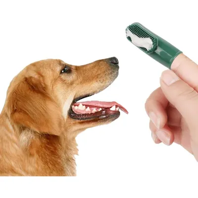 PetTribes Kit Hygiène Dentaire Chien/Chat