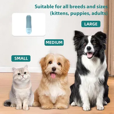 PetTribes Kit brossage dentaire chien - 100% silicone & hygiène complète