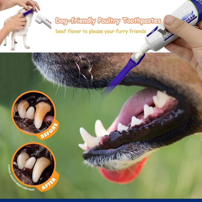 PetTribes Kit 4-en-1 soin dentaire chien/chat