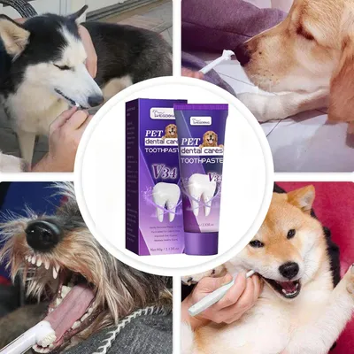 PetTribes Dentifrice sûr pour soins bucco-dentaires chat/chien
