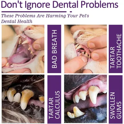 PetTribes Dentifrice sûr pour soins bucco-dentaires chat/chien