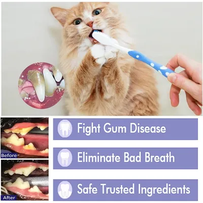 PetTribes Dentifrice sûr pour soins bucco-dentaires chat/chien