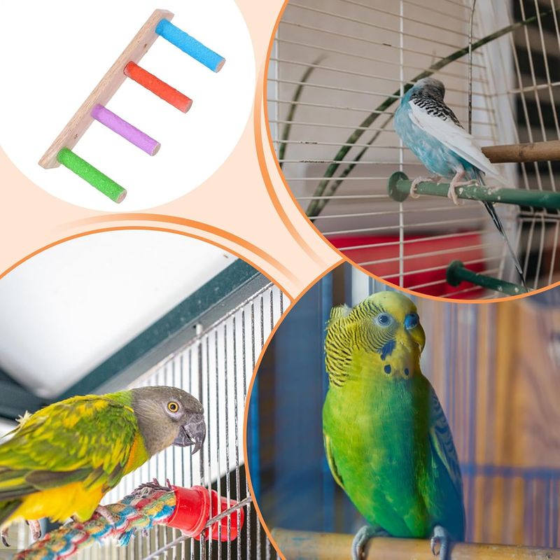 PetTribes Échelle en Bois pour Perruches - Jeu et Affûtage Griffes
