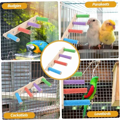 PetTribes Échelle en Bois pour Perruches - Jeu et Affûtage Griffes