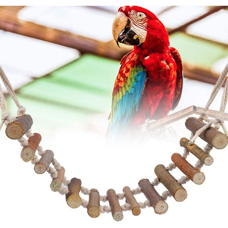 PetTribes Balançoire-échelle en corde pour oiseaux
