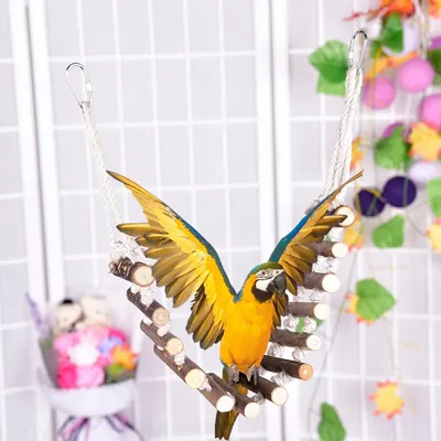 PetTribes Balançoire-échelle en corde pour oiseaux