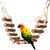 PetTribes Balançoire-échelle en corde pour oiseaux