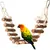 PetTribes Balançoire-échelle en corde pour oiseaux PetTribes Balançoire-échelle en corde pour oiseaux