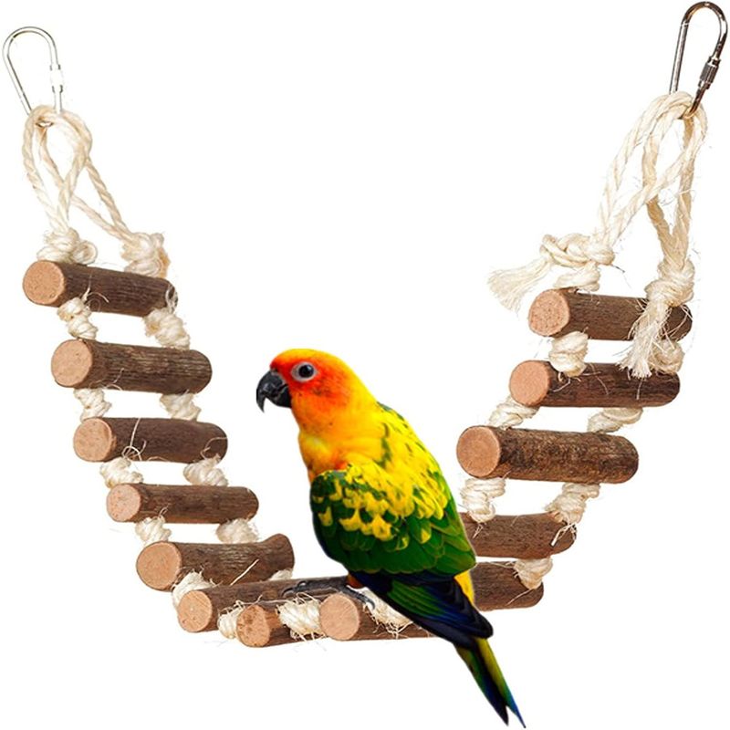 PetTribes Balançoire-échelle en corde pour oiseaux