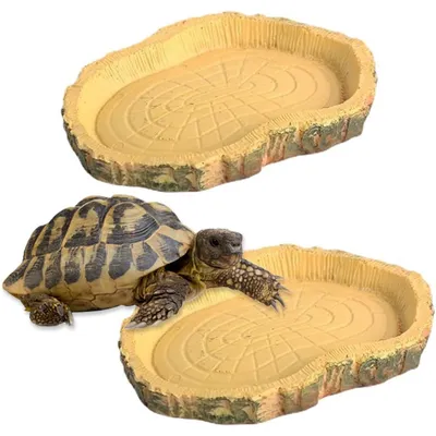 PetTribes 2 bols reptiles - Nourriture & eau pour tortues