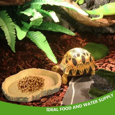 PetTribes 2 bols reptiles - Nourriture & eau pour tortues