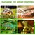 PetTribes 2 bols reptiles - Nourriture & eau pour tortues