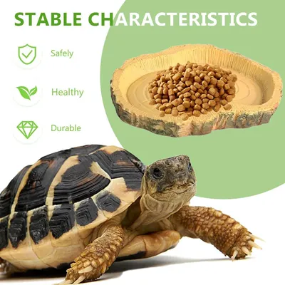 PetTribes 2 bols reptiles - Nourriture & eau pour tortues