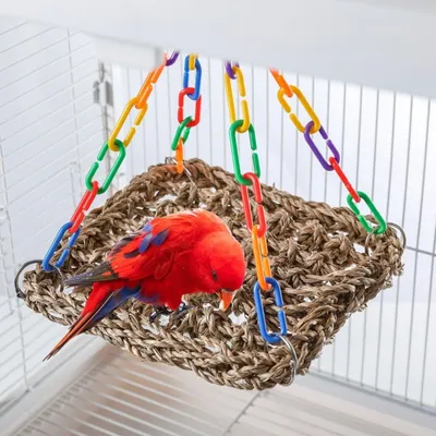 PetTribes Hamac corde pour perroquet/perruche - Durable et confortable