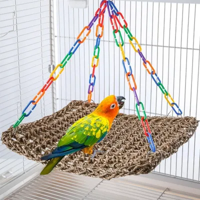 PetTribes Hamac corde pour perroquet/perruche - Durable et confortable