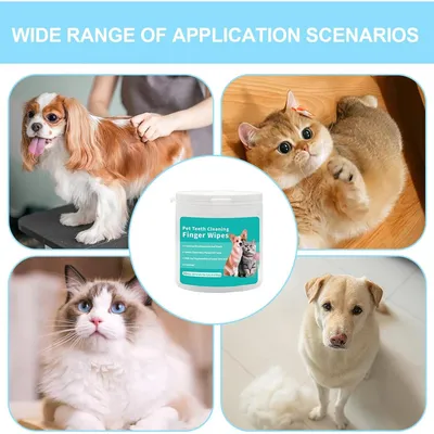 PetTribes Lingettes Humides pour Chien - Nettoyage Rapide et Pratique