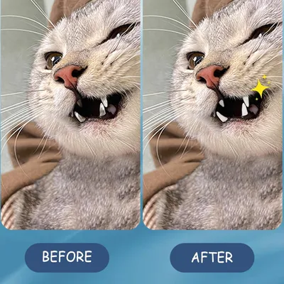 PetTribes Lingettes Humides pour Chien - Nettoyage Rapide et Pratique