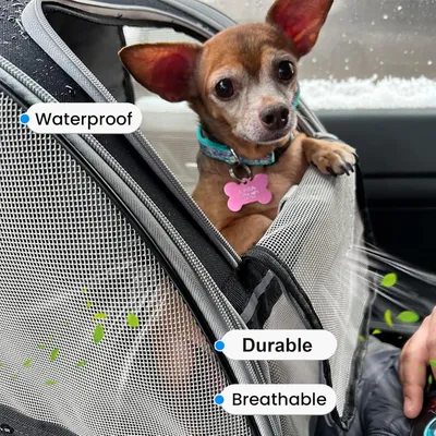PetTribes Sac à Dos Transport Chien/Chat - Respirant, Pliable et Stable
