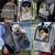 PetTribes Sac à Dos Transport Chien/Chat - Respirant, Pliable et Stable