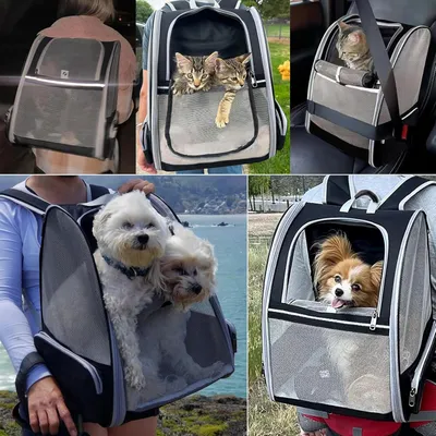 PetTribes Sac à Dos Transport Chien/Chat - Respirant, Pliable et Stable