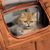 PetTribes Mochila pour pets avec poche et ventilation - Marron