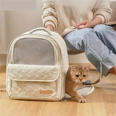 PetTribes Sac à dos respirant pour chat/chien - Transport facile