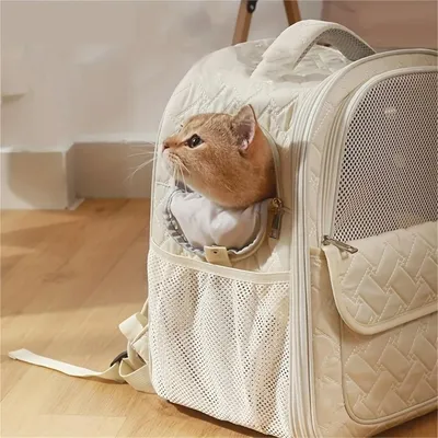 PetTribes Sac à dos respirant pour chat/chien - Transport facile