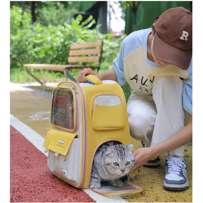 PetTribes ac à Dos de Transport Respirant pour Chat et Petit Chien - Voyage