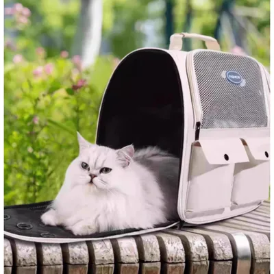 PetTribes Sac de transport respirant et pliable pour chat/chien