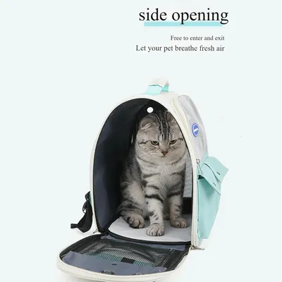 PetTribes Sac de transport respirant et pliable pour chat/chien