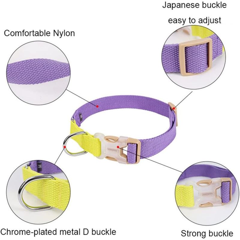 PetTribes Collier chien/chat réglable - Anti-étranglement (L, Bleu/Jaune)