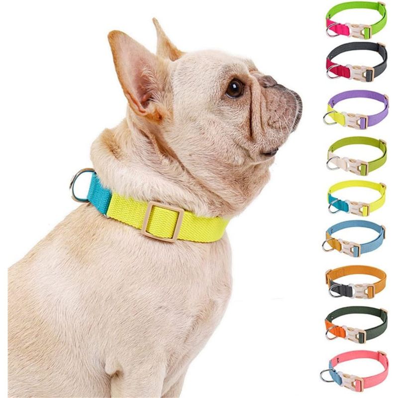 PetTribes Collier chien/chat réglable - Anti-étranglement (S, Bleu/Jaune)