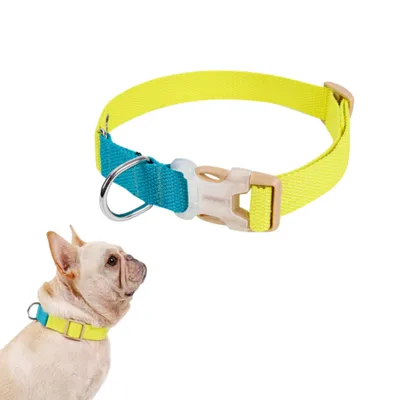 PetTribes Collier chien/chat réglable - Anti-étranglement (S, Bleu/Jaune)