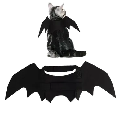 PetTribes Ailes chauve-souris pour chat - Déguisement Halloween & cosplay PetTribes Ailes chauve-souris pour chat - Déguisement Halloween & cosplay