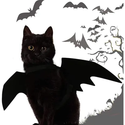 PetTribes Ailes chauve-souris pour chat - Déguisement Halloween & cosplay PetTribes Ailes chauve-souris pour chat - Déguisement Halloween & cosplay